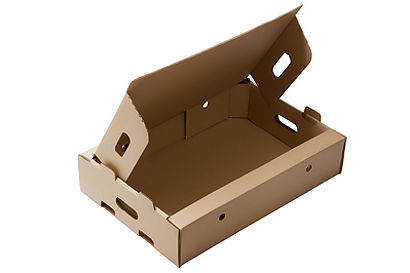 Self-assembly box